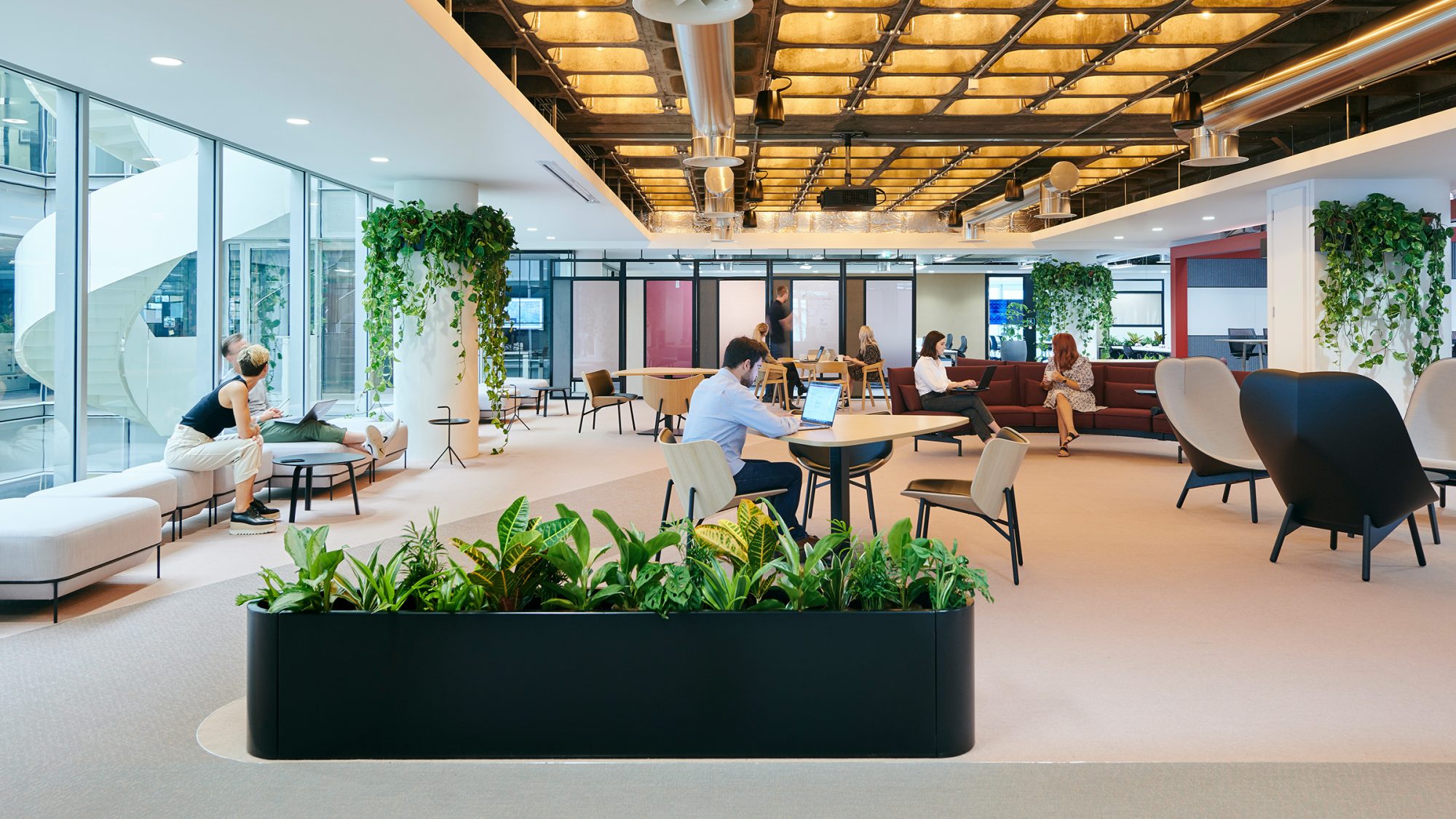 Premium modern office workspace with contemporary furniture